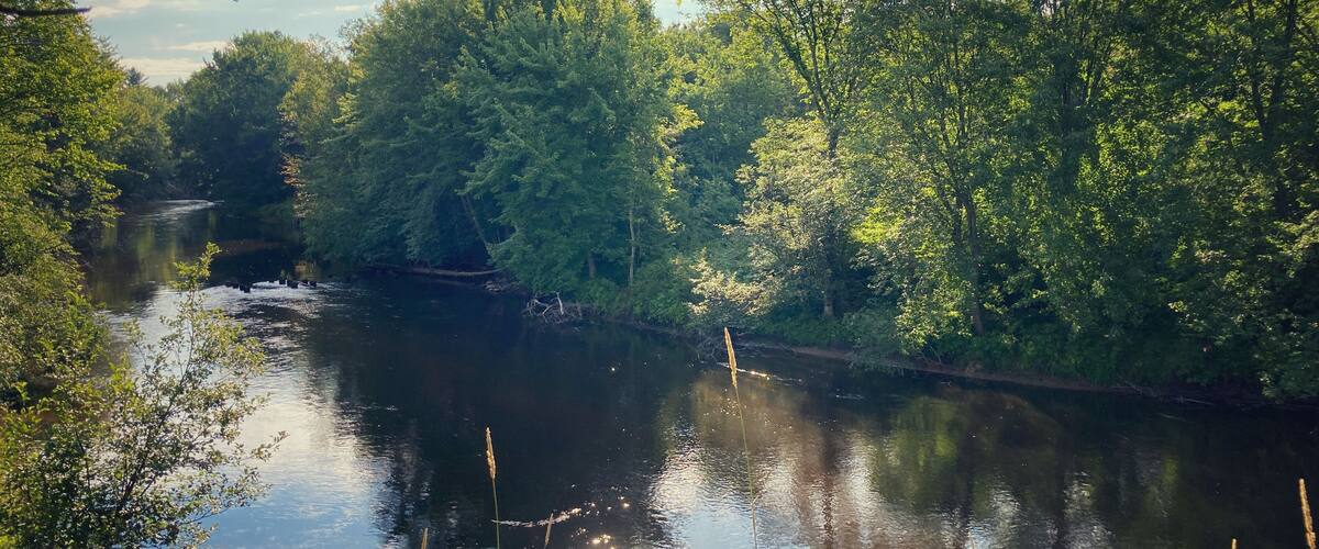 Northern Michigan river