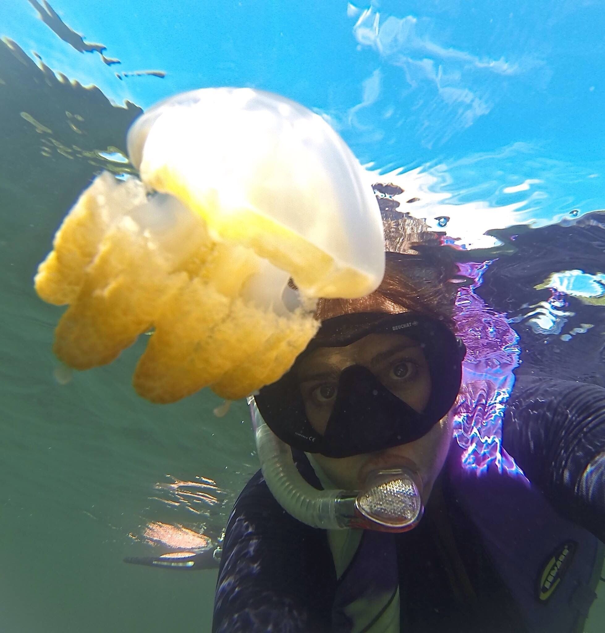 Snorkel with hundreds of thousands of jellyfish in this beautiful island lake. Sam's Tours are great for this and scuba diving. 