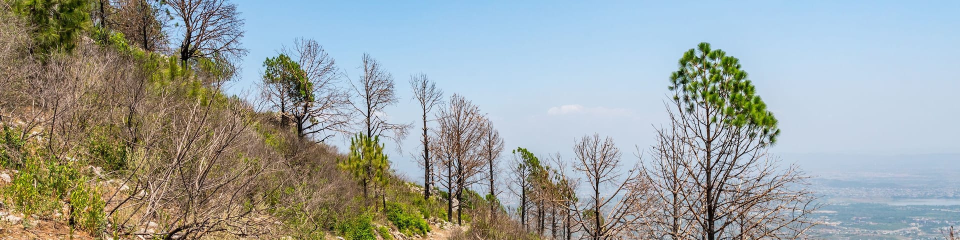 Islamabad Mangal Jan Park 109