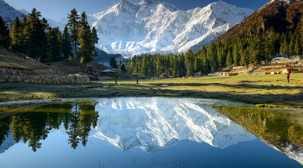 Nanga Parbat reflected in a pond at Fairy Meadows.