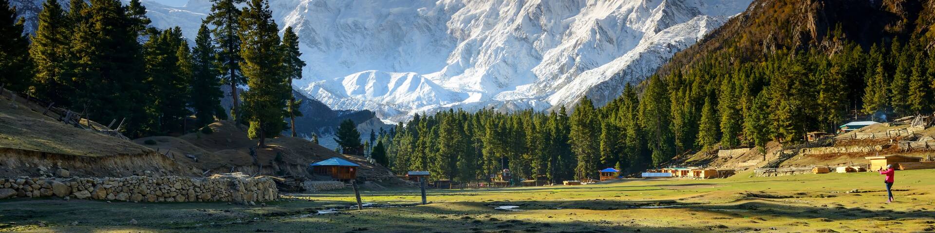 Nanga Parbat reflected in a pond at Fairy Meadows.