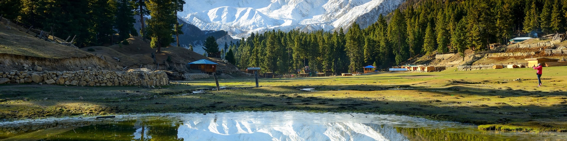 Nanga Parbat reflected in a pond at Fairy Meadows.