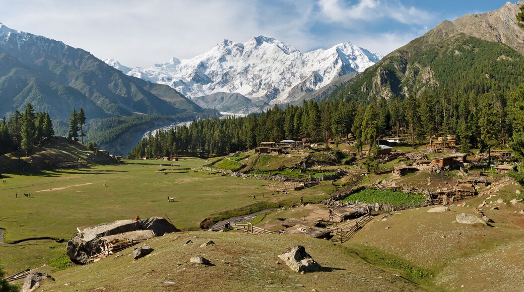 Nanga Parbat
