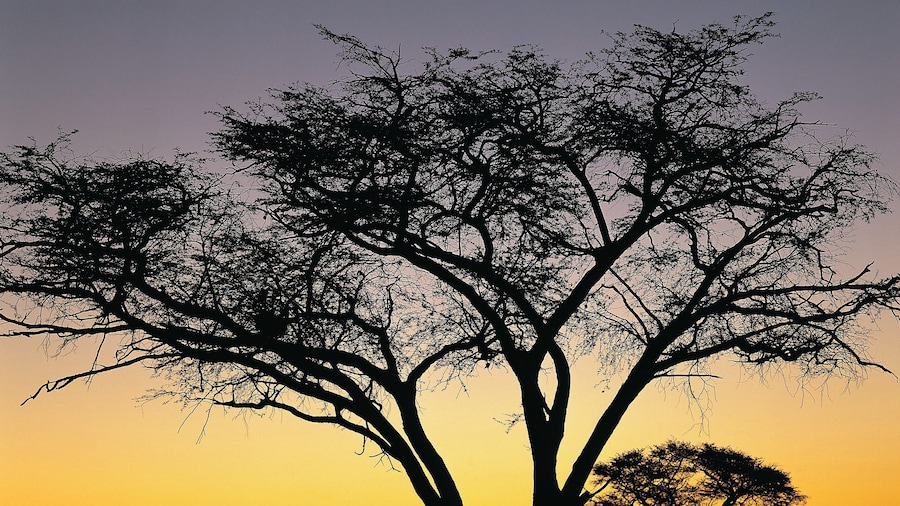 Hwange National Park