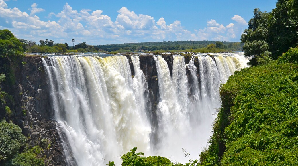 維多利亞瀑布國家公園