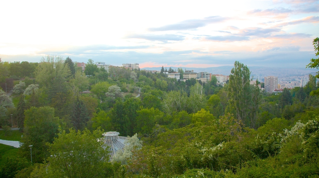 Atakule Tower which includes forest scenes