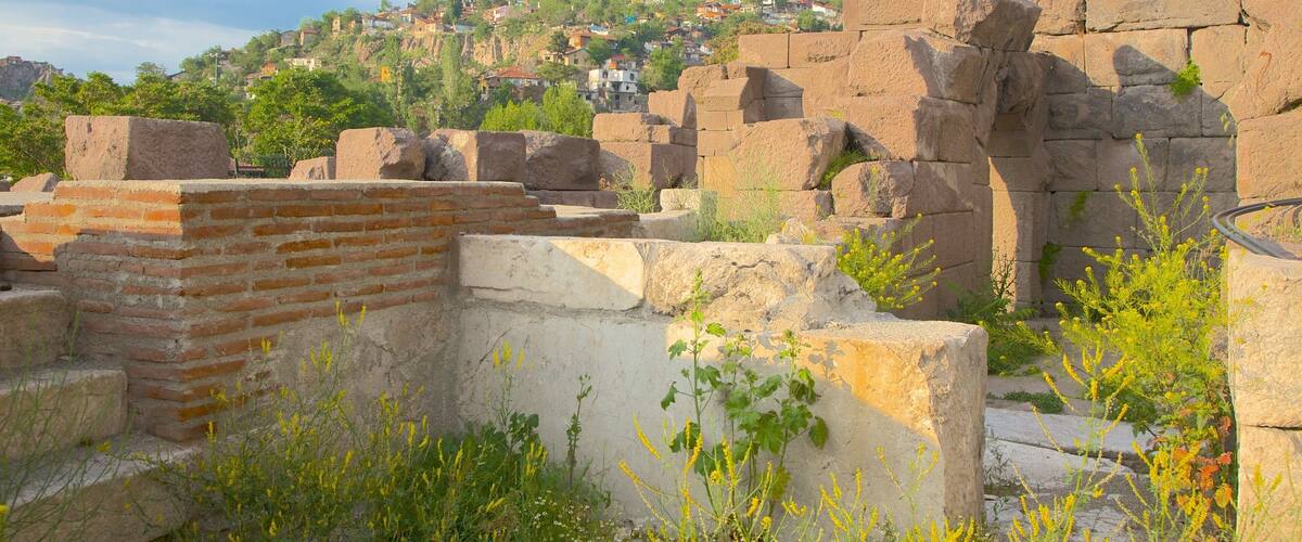 Teatro Romano que incluye una ruina