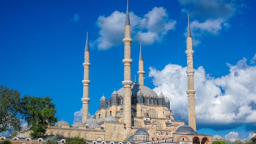Panoramic view of Selimiye Mosque, Edirne