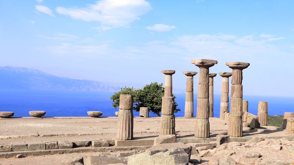 Ancient stone columns and steps with a tree and a clear blue sky in the background.