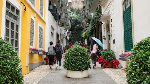 Senado Square showing street scenes