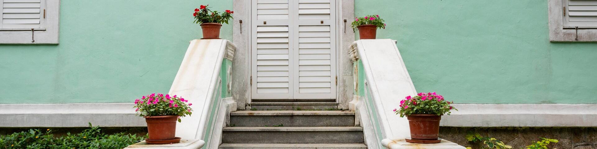 A staircase leading to a white door with shutters, flanked by two potted plants with pink flowers, against a green wall.
