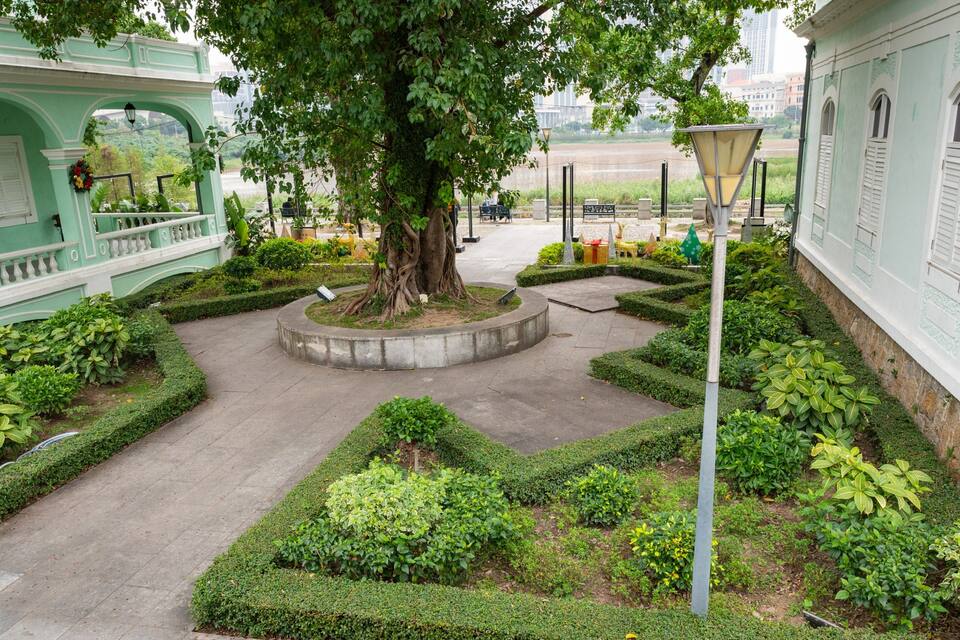 A well-maintained garden with a large tree at the center, surrounded by neatly trimmed hedges and various plants.