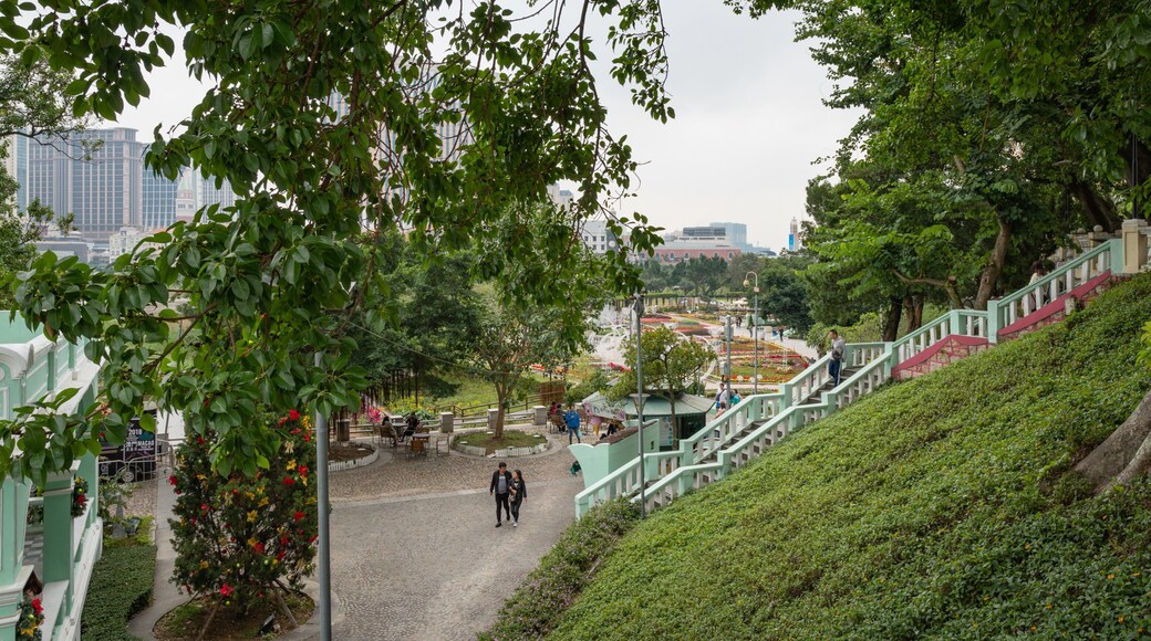 Taipa Houses-Museum featuring a garden