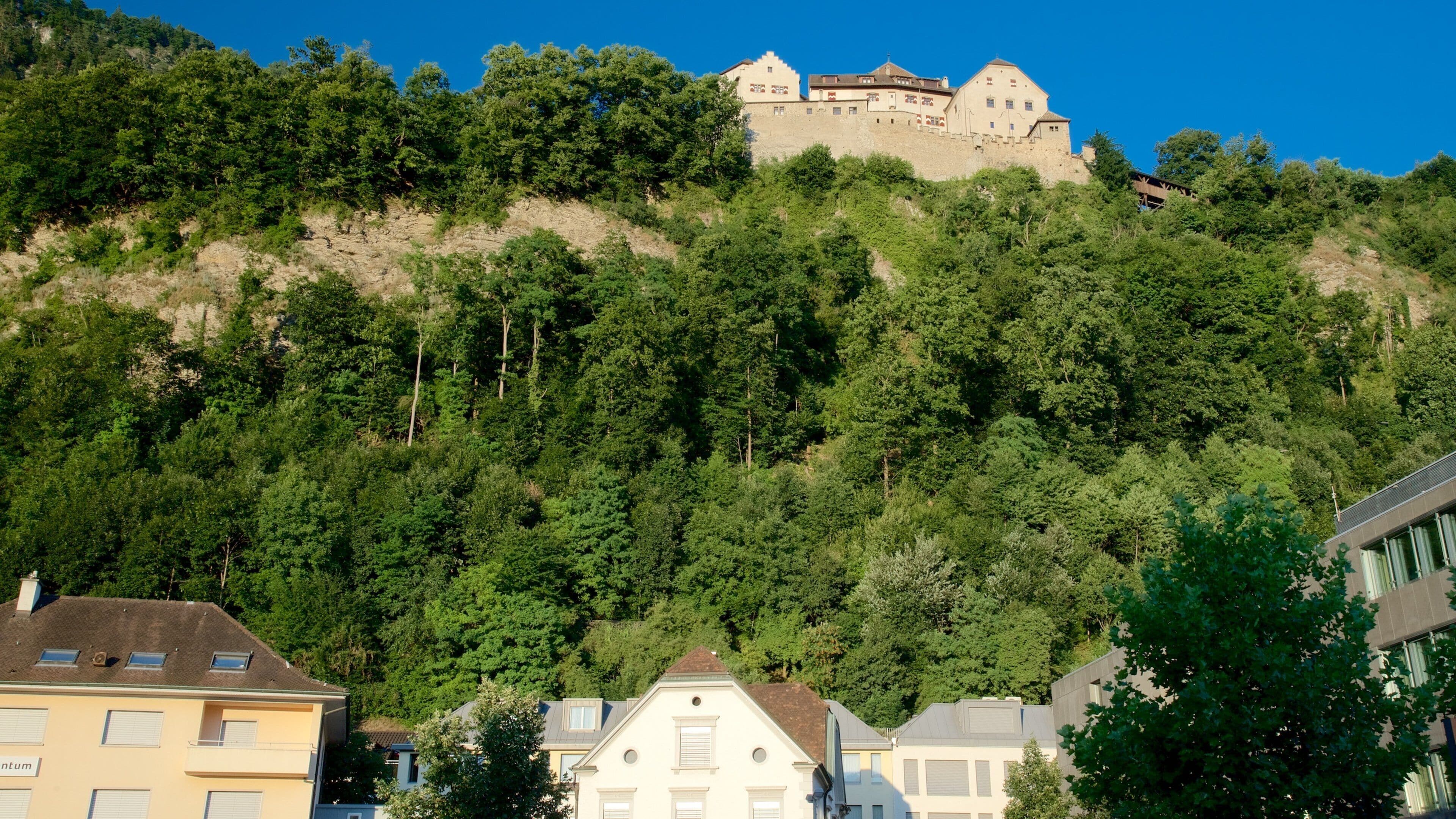 Vaduz Castle which includes a small town or village, heritage elements and chateau or palace