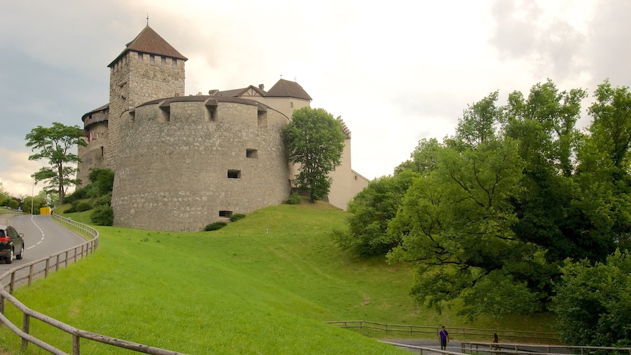 Vaduz Castle showing chateau or palace, tranquil scenes and heritage architecture