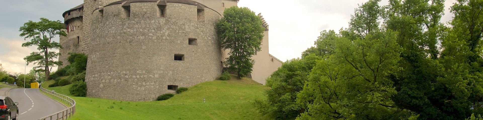 Vaduz Castle showing chateau or palace, tranquil scenes and heritage architecture