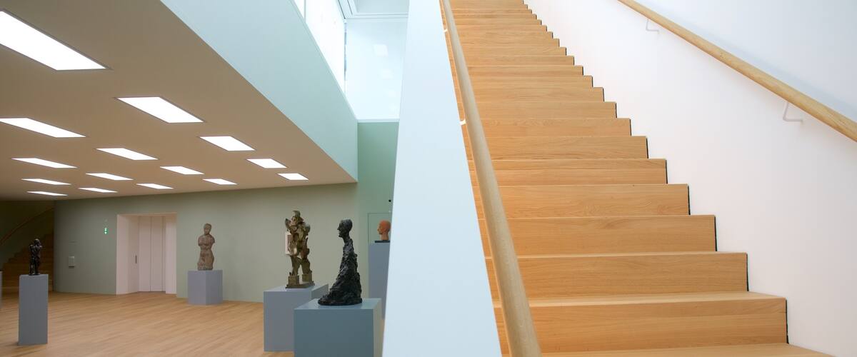 Musée des beaux-arts du Liechtenstein qui includes vues intérieures