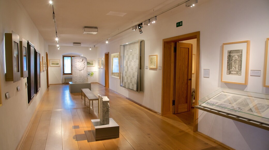 Liechtenstein National Museum showing interior views