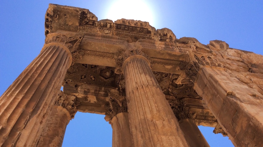 Intricate columns at the temple of Jupiter, now a favourite spot for birds.