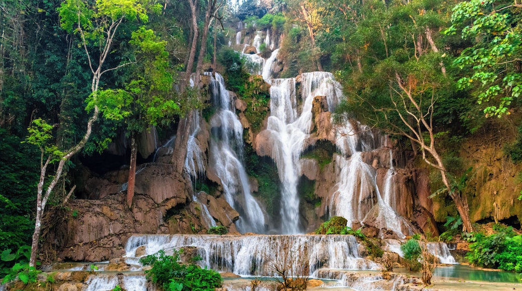 about 45 minutes from Luang Prabang, you'll find one of the most amazing waterfalls that just takes your breath away, definitely a must see ! #Nature #waterfall #laos #Landscape