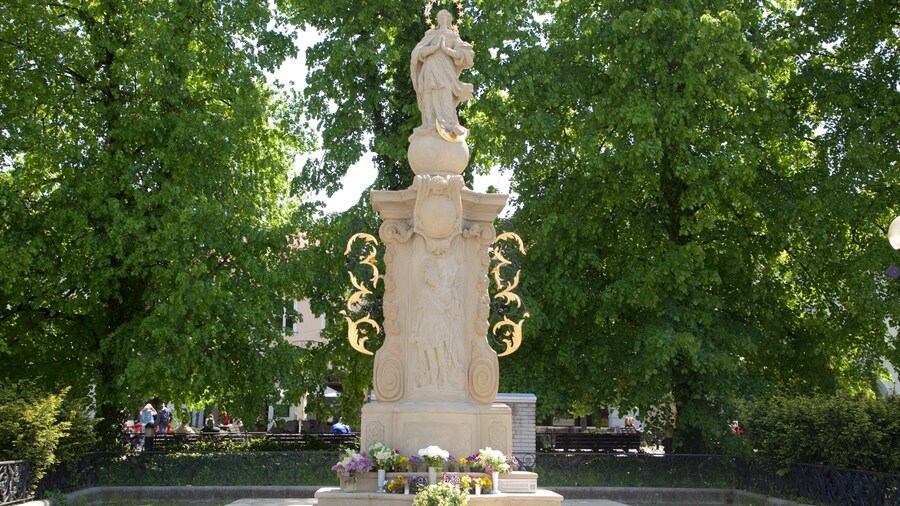 Marianske Namestie showing a statue or sculpture and a park