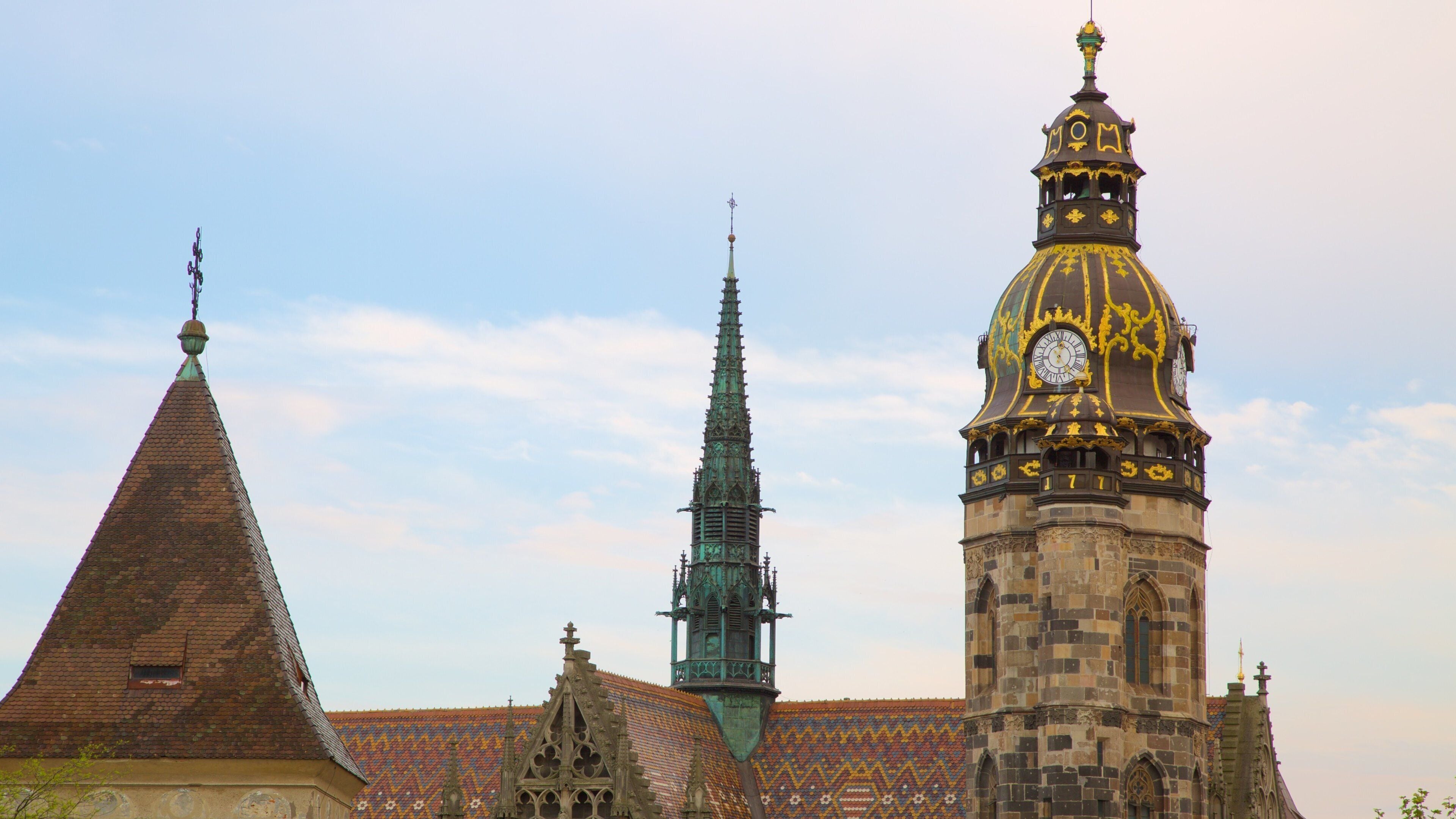 St. Elisabeth Cathedral