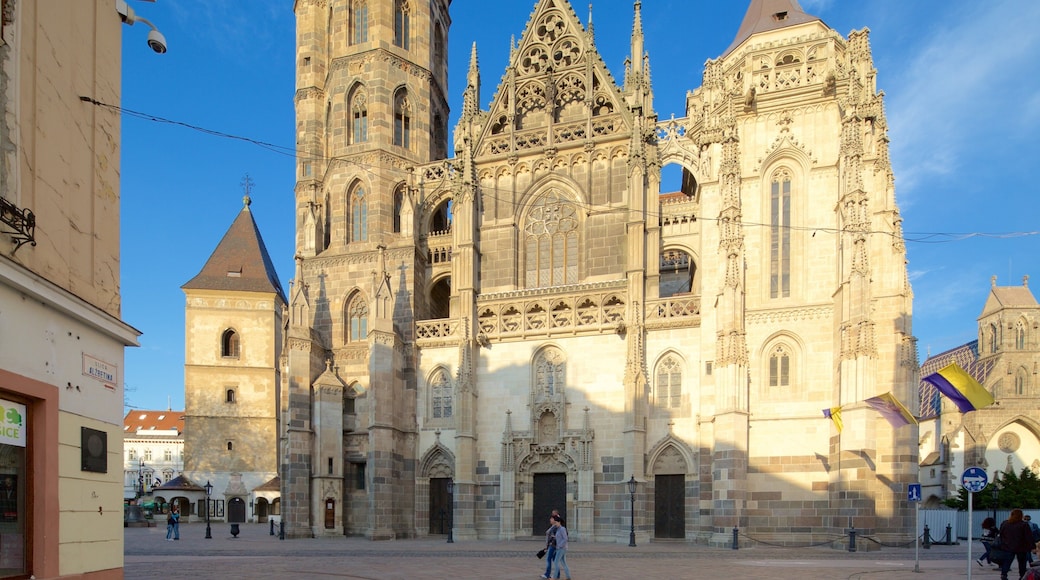 St. Elisabeth Cathedral