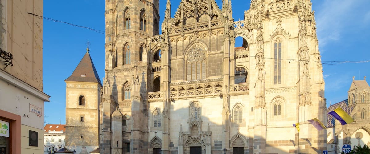 St. Elisabeth Cathedral