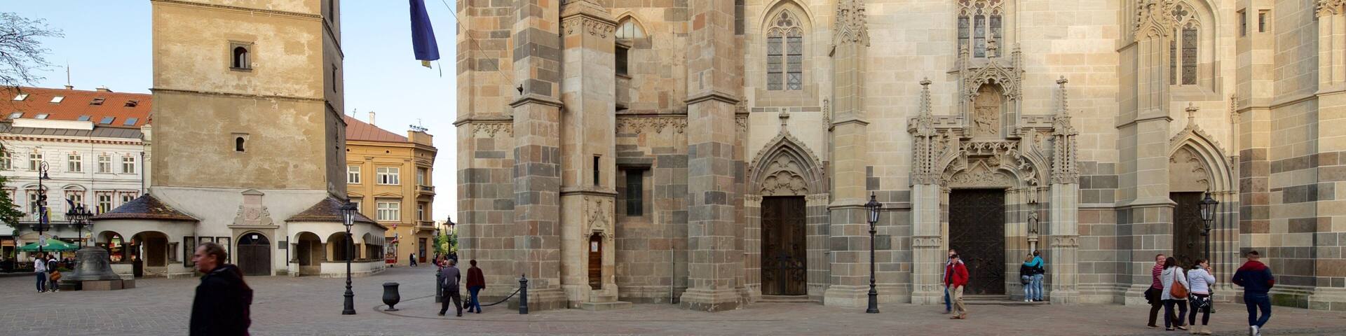 St. Elisabeth Cathedral