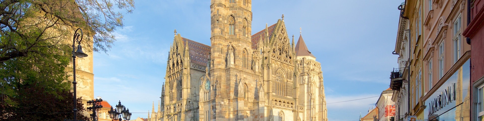 St. Elisabeth Cathedral