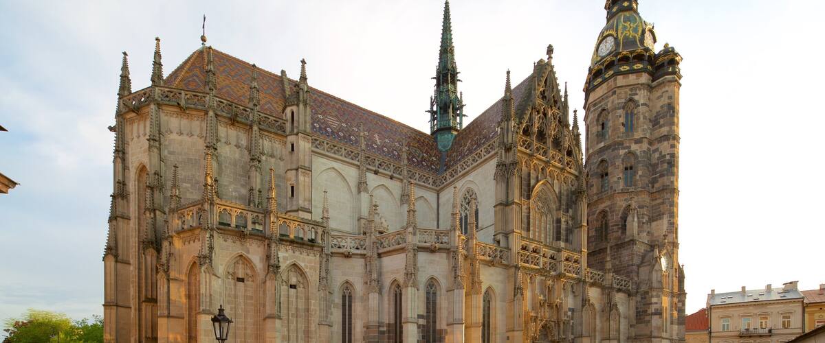 St. Elisabeth Cathedral