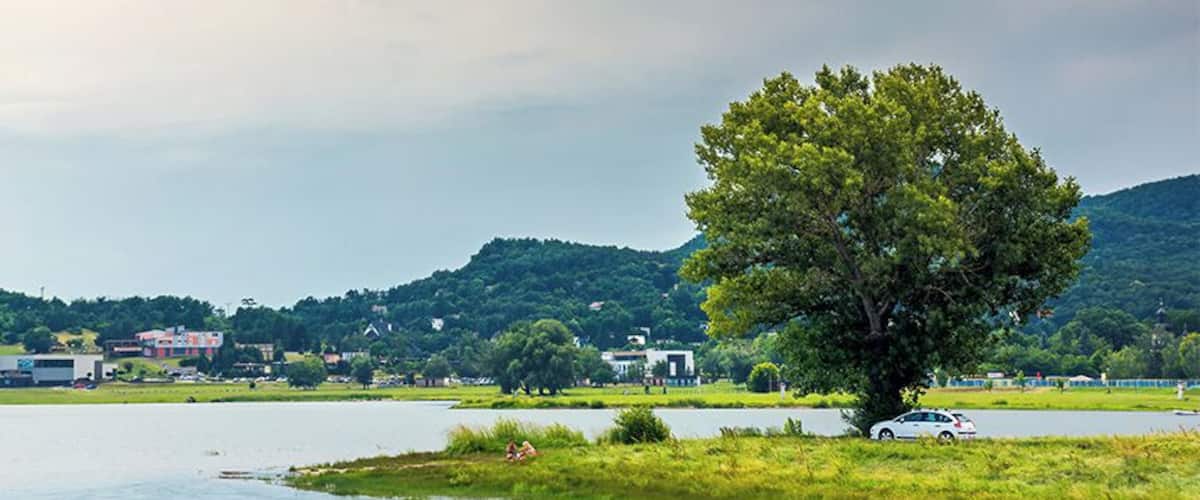 A lake with a large tree in the foreground, a car parked near the water, and buildings in the background.