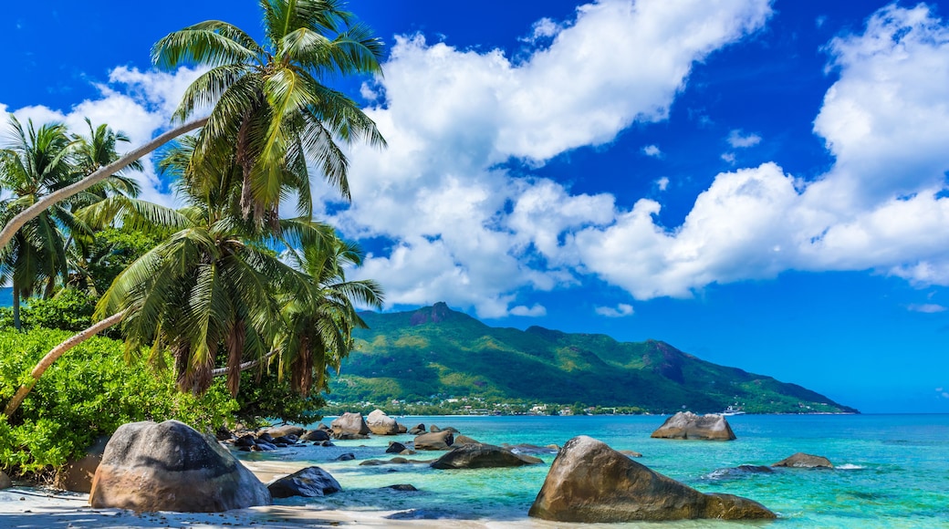 Baie Beau Vallon - Beach on island Mahe in Seychelles