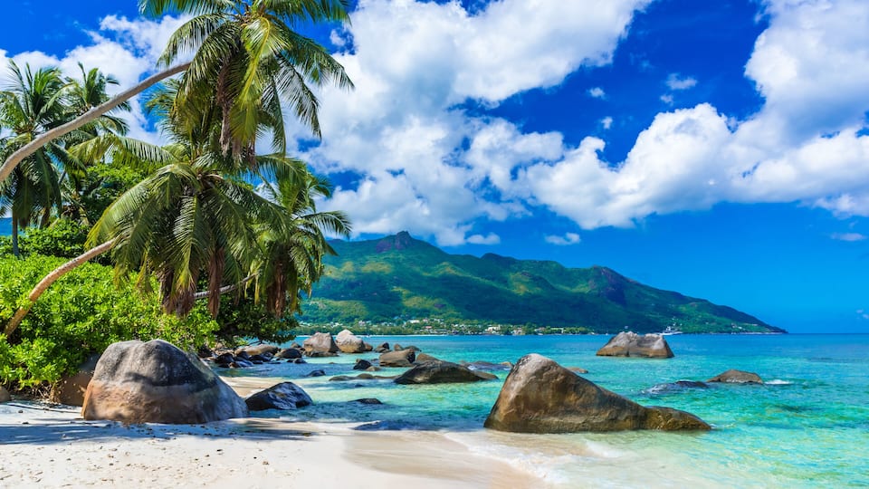A tropical beach with clear turquoise water, large rocks, palm trees, and a mountain in the background.