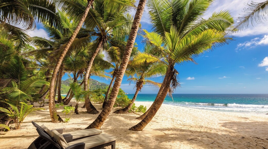 アンス・インテンダンスビーチ