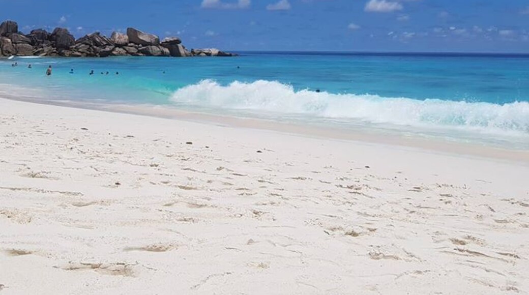 Oh Seychelles!!!
First you take the bike down to Grand Anse on the southeast side of La Digue. Next you take the small trail along the beach and then follow the rocky climb over the hill. On the other side lies beautiful Petite Anse; a beautiful beach with less visitors and amazing azur waters along its white sand.
As the above suggests - its a bit of a cycle to get there, with MANY hills but oh my goodness is it worth it!
#LifeatExpedia
#Beaches
