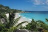 A beach with clear turquoise water, white sand, and lush greenery.