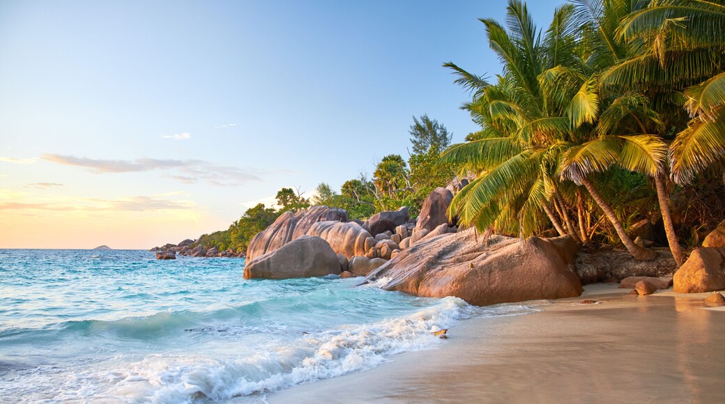 Pantai Anse Lazio