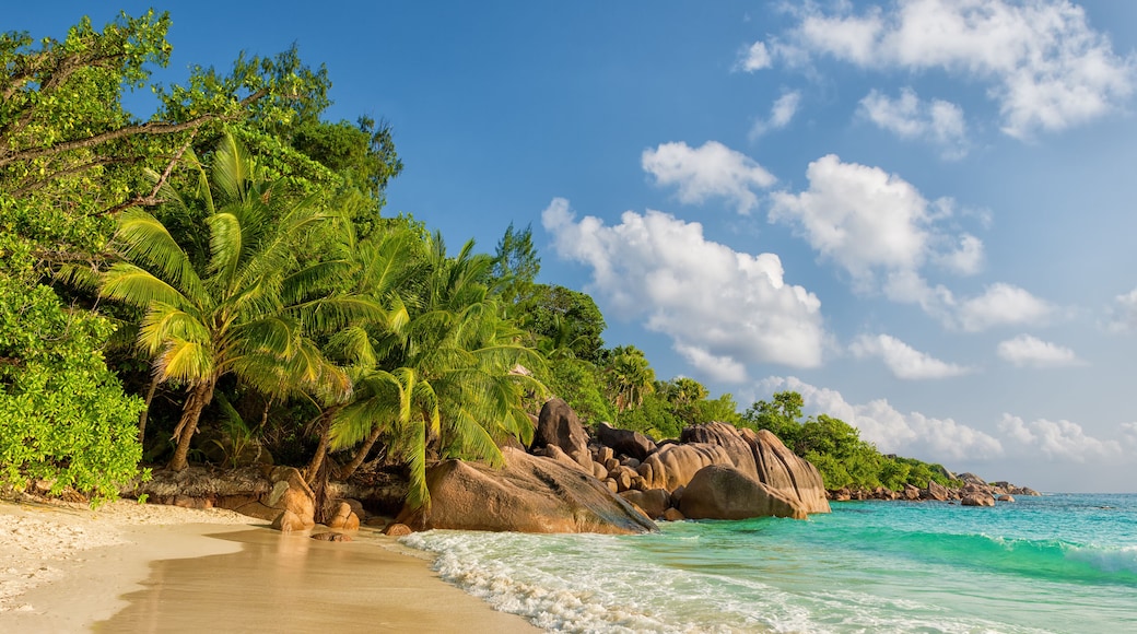 Playa de Anse Lazio