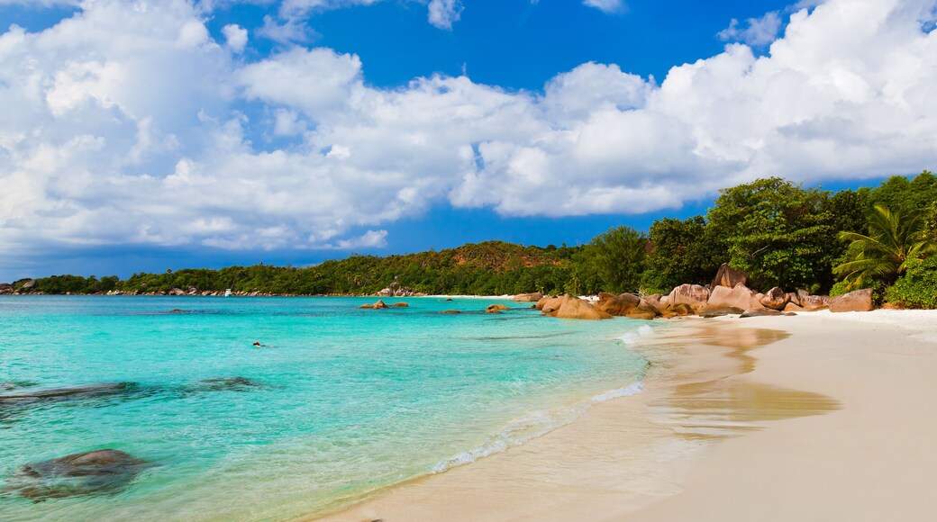 Anse Lazio Beach