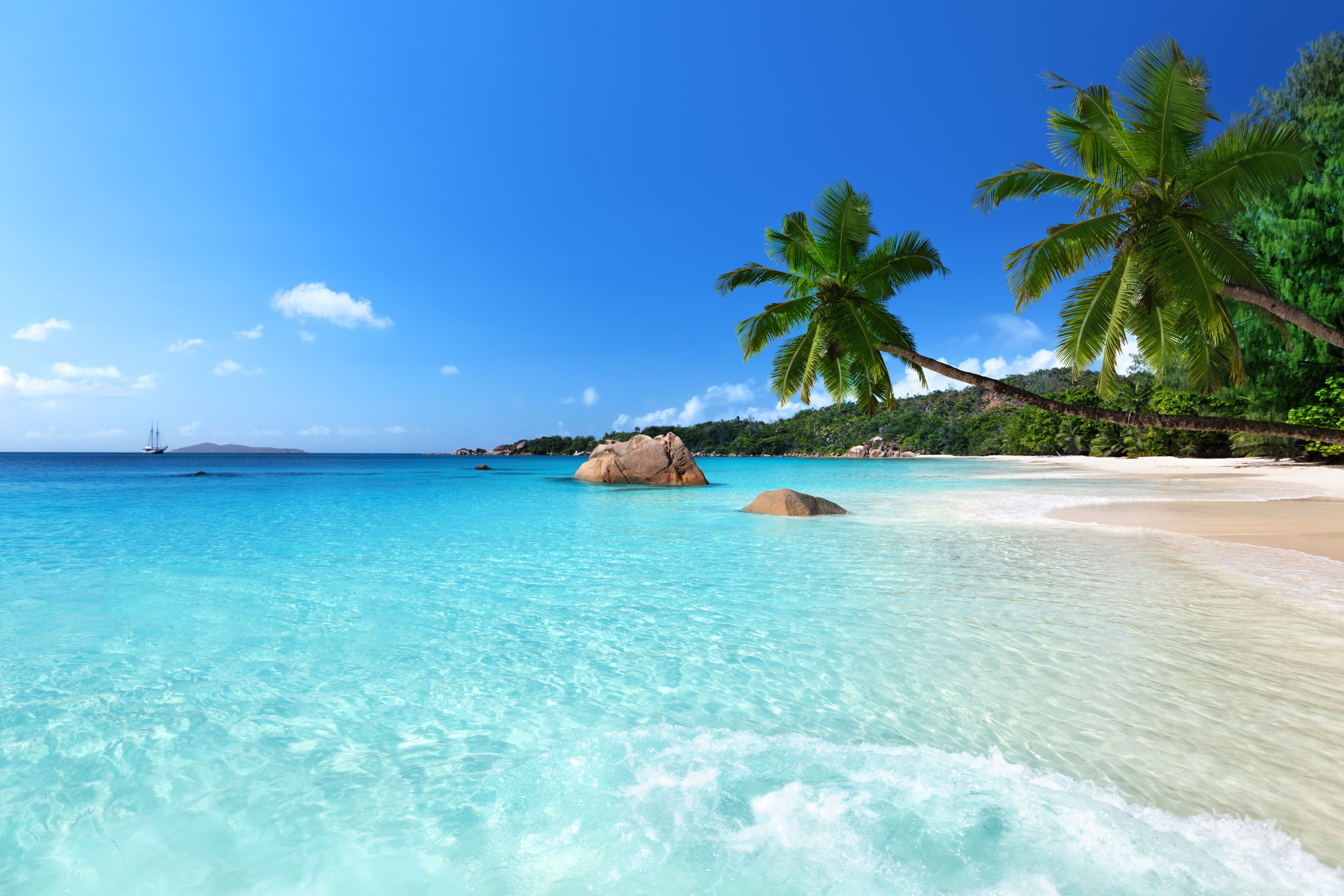 หาด Anse Lazio
