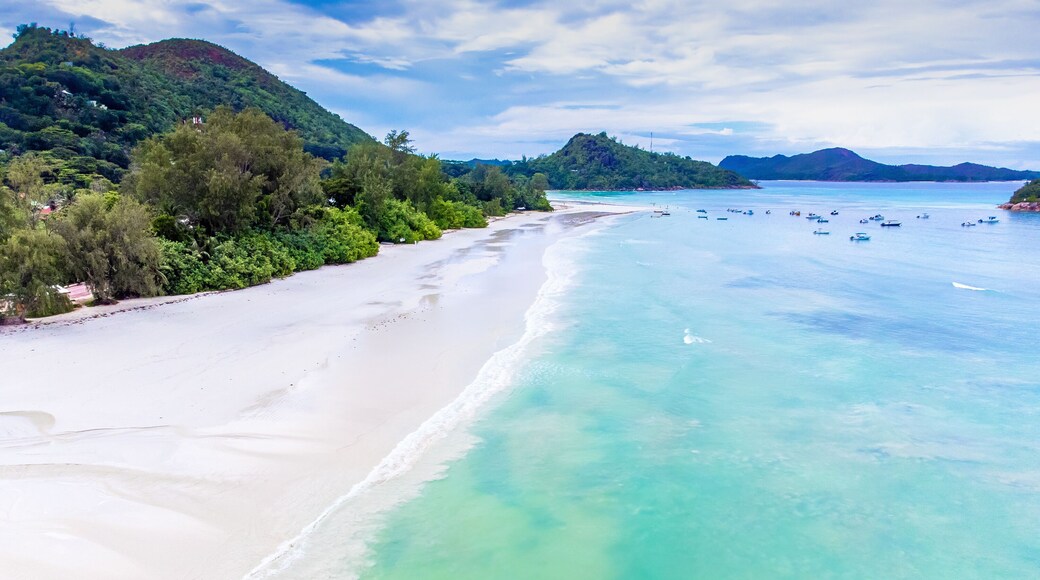 หาด Anse Volbert