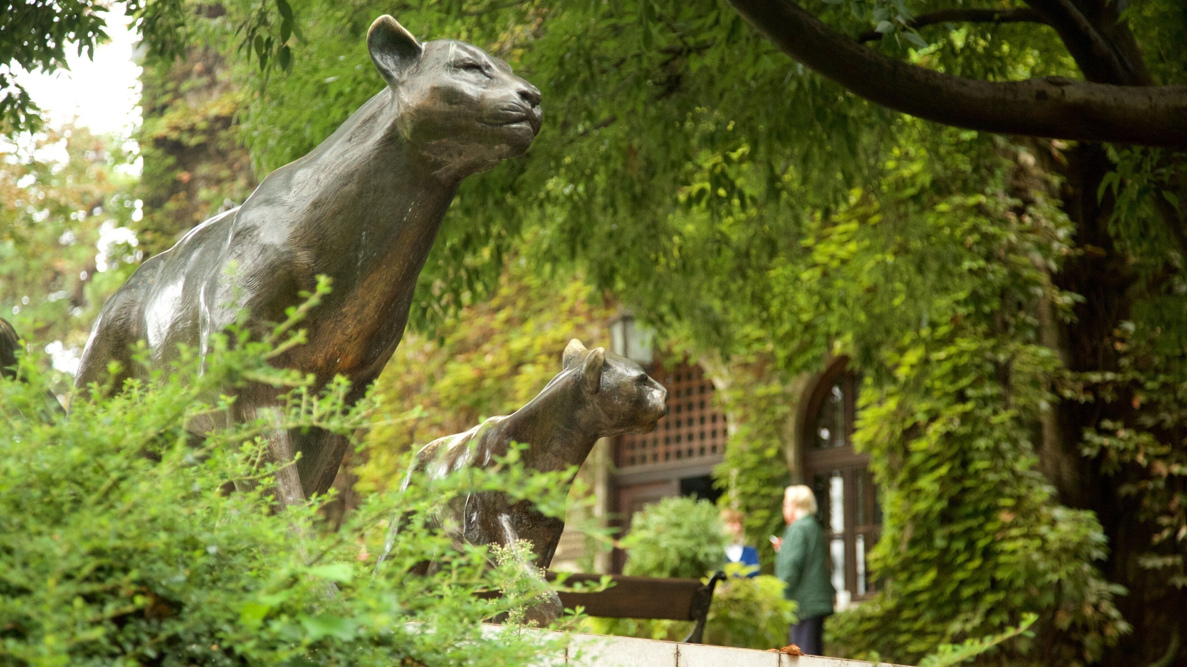 ベオグラード動物園 どの含み 動物園の動物 と 像あるいは彫刻