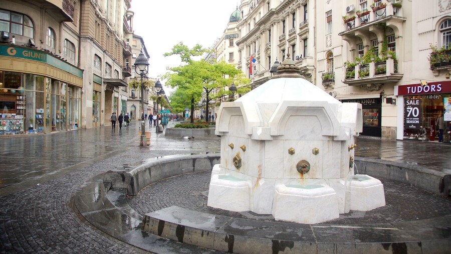 Knez Mihailova Street showing a fountain and a city