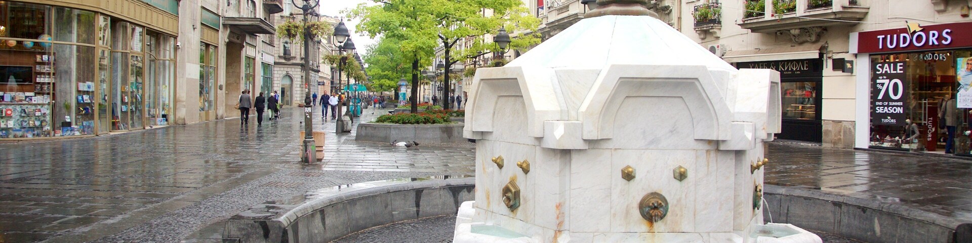 Knez Mihailova Street showing a fountain and a city