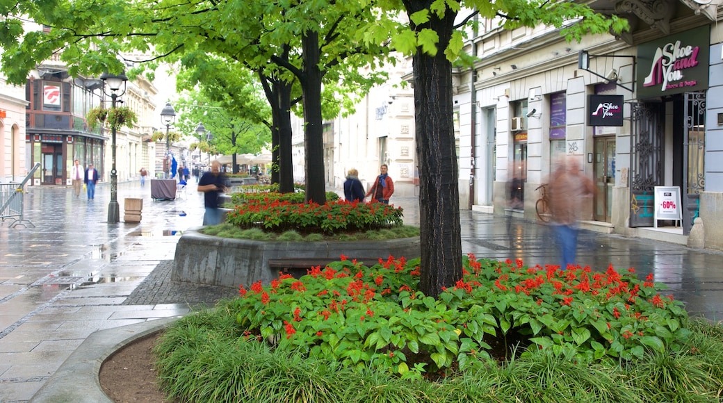 Knez Mihailova Street mit einem Stadt und Straßenszenen
