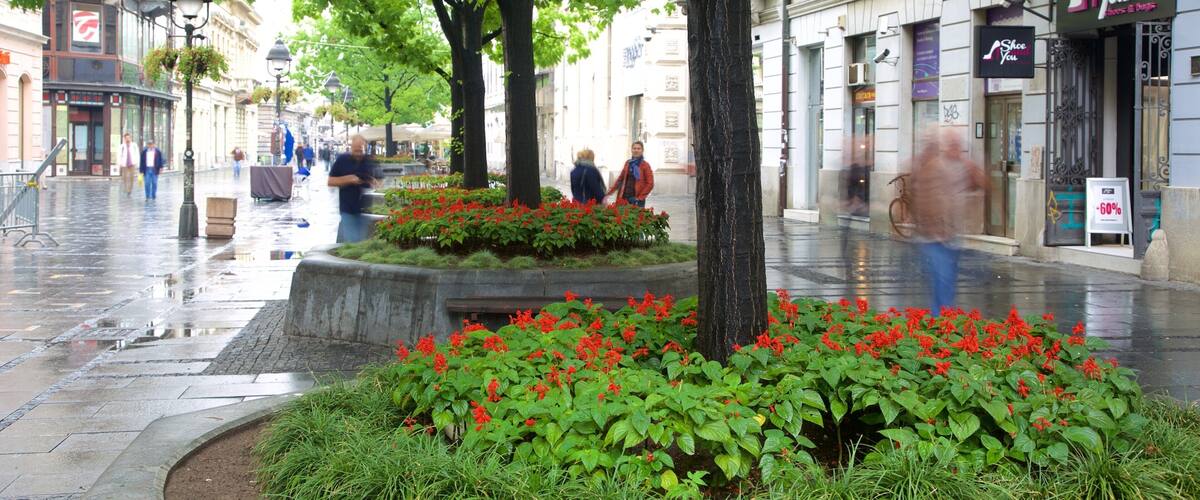 Knez Mihailova Street mit einem Stadt und Straßenszenen