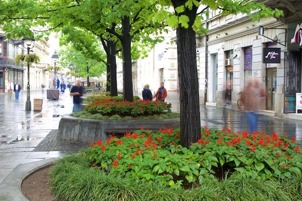 Knez Mihailova Street featuring a city and street scenes