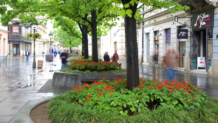 Calle Knez Mihailova mostrando una ciudad y imágenes de calles