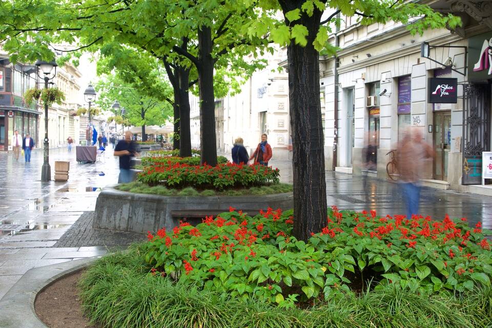A wet city street with pedestrians, a flower bed, and storefronts.